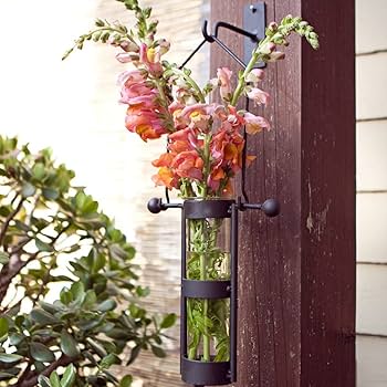 Amazon.com: Danya B. QB102-2 Modern Home Décor - Wall Mount